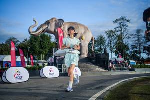 BIB: 
                            <button type="button" onclick="openModal(26542026)" class="btn btn-primary btn-sm float-right btn-popup" data-toggle="modal" data-target=".modal-high-quality">
                        <i class="fas fa-shopping-cart"></i> Add to Cart
                    </button>
                                            <button type="button" onclick="isThisMe(26542026, true)" class="btn btn-success btn-sm float-right btn-popup btn-isme hidden" data-toggle="tooltip" data-placement="bottom" title="นี่คือรูปของคุณใช่ไหม คลิกที่นี่เพื่อเอาเข้าอัลบั้ม">
                        <i class="fas fa-plus"></i> Add to album
                    </button>
                    <button type="button" onclick="isThisMe(26542026, false)" class="btn btn-warning btn-sm float-right btn-popup btn-isnotme hidden">
                        <i class="fas fa-ban"></i> Remove from album
                    </button>